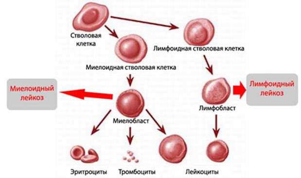 Аутентификатор кракен